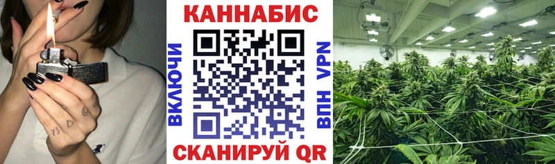 где купить наркоту  Рыбное  hydra маркетплейс  МАРИХУАНА Amnesia 